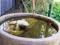 Hope Cottage Country Retreat - Brisbane Tourism 4