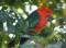Hope Cottage Country Retreat - Brisbane Tourism 2