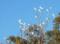 Hope Cottage Country Retreat - Brisbane Tourism 1