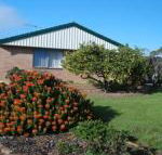 Lemontree Cottage - Tourism Brisbane