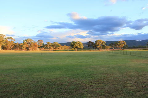 Radiance On Lyra - Brisbane Tourism 2