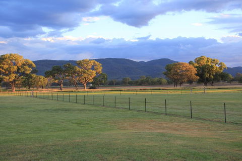 Radiance On Lyra - Brisbane Tourism 1