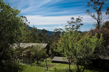 Buttercuphill B&B - Tourism Brisbane 0