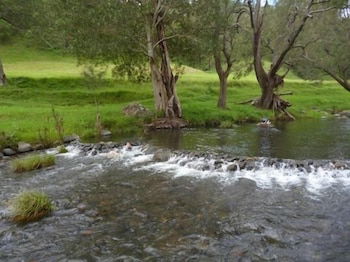 Christmas Creek Cafe & Cabins - Brisbane Tourism 4