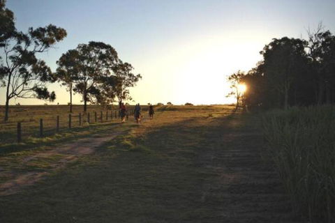 Susan River Homestead - Tourism Brisbane 2