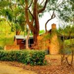 Cedarwood Cottage - Brisbane Tourism 0