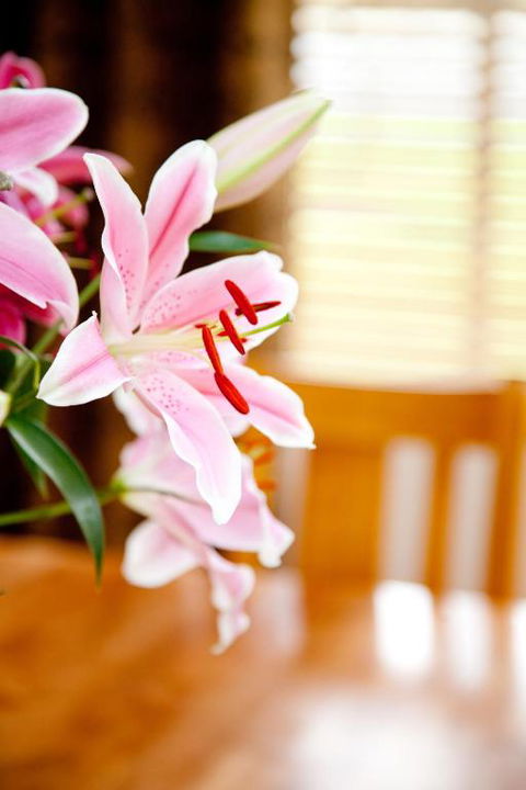 Ocean Mist Villa - Tourism Brisbane 6