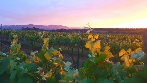 Red Door Collective RDC Estate - Tourism Brisbane 4