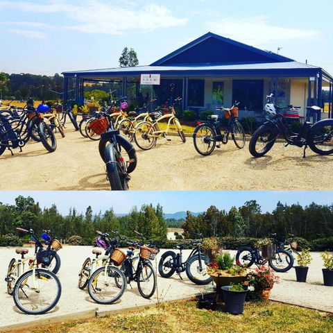 Red Door Collective RDC Estate - Tourism Brisbane 2