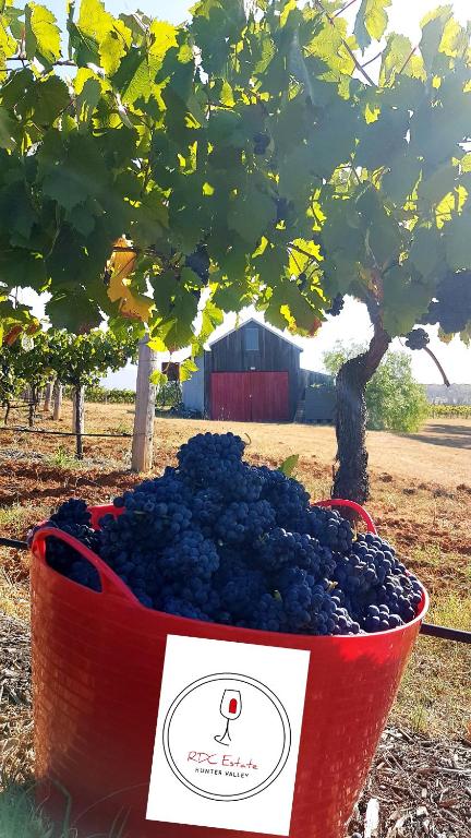 Red Door Collective RDC Estate - Tourism Brisbane 1