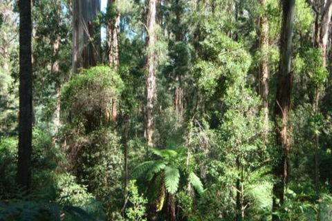 SIGNAL BOX Short Stay - Tourism Brisbane 3
