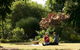 Alexandra Farmstay - thumb 1