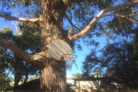 Inverloch Motel - Brisbane Tourism 5