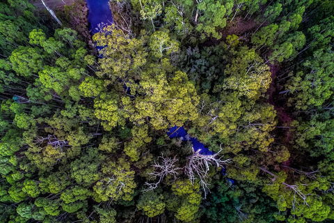 Saintys Creek Cottage - Tourism Brisbane 4