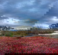 Saintys Creek Cottage - Brisbane 4u