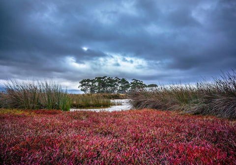 Saintys Creek Cottage - Tourism Brisbane 0