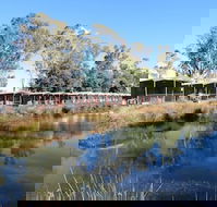 Victoria Lake Holiday Park - Brisbane Tourism