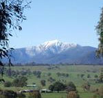 Off Mountain Accommodation - Brisbane 4u