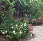 Maldons Eaglehawk Motel - Brisbane 4u