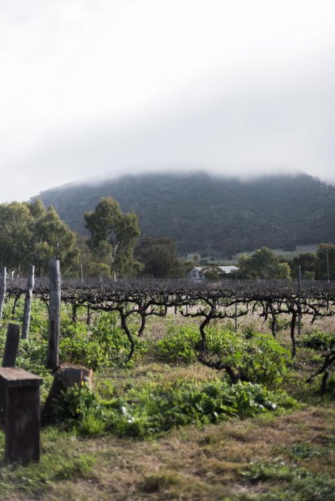 Hope Farm Guesthouse - Tourism Brisbane 2