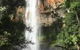Purling Brook Falls Gwongorella - thumb 0