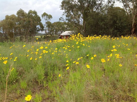 Fergies Hill Spa Cottage At Granite Ridge Wines - Brisbane Tourism 4