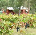 Fergies Hill Spa Cottage at Granite Ridge Wines - Brisbane Tourism