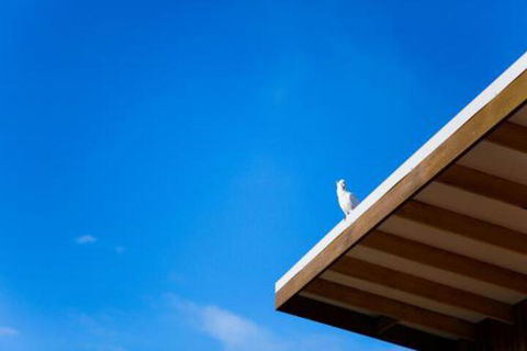 Wye Not Escape - Tourism Brisbane 6