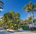Mollymook Caravan Park - Brisbane Tourism