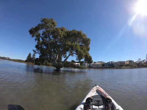 Moreton Bay Beach Lodge - Brisbane Tourism 2