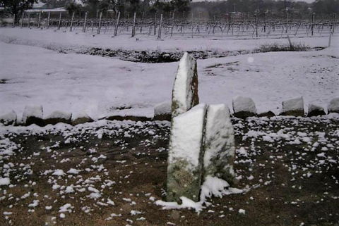 Taits Place Vineyard B & B - Tourism Brisbane 1