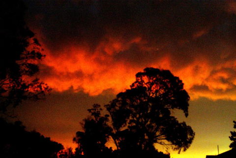 Taits Place Vineyard B & B - Tourism Brisbane 2