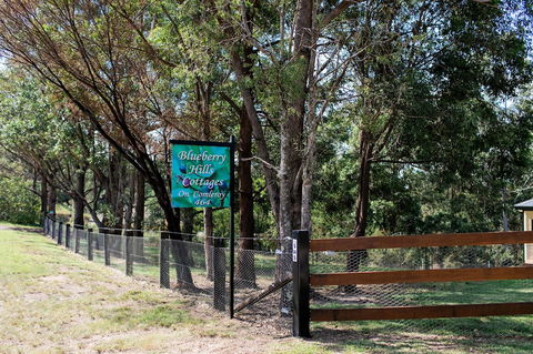 Blueberry Hills On Comleroy - Tourism Brisbane 0
