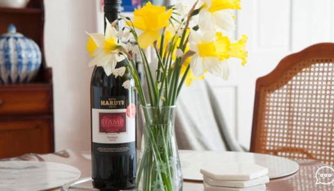 Million Dollar Views - Tourism Brisbane 2