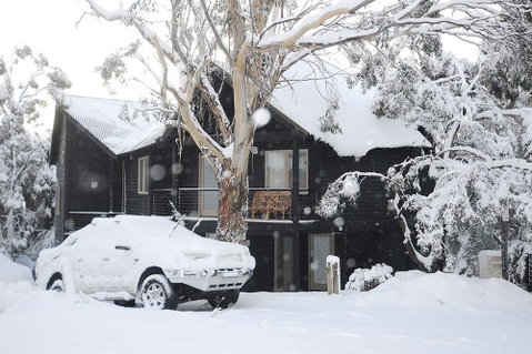 Milkwood - Brisbane Tourism 1