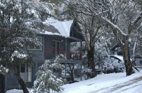 Milkwood - Brisbane Tourism 3