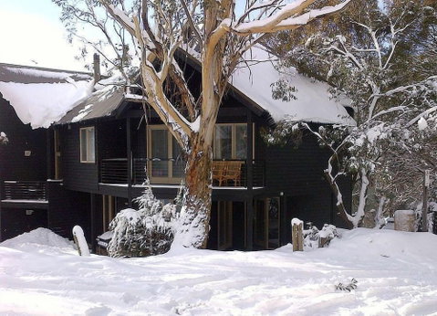 Milkwood - Brisbane Tourism 4