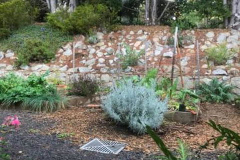 Alpine Aspects - Tourism Brisbane 6
