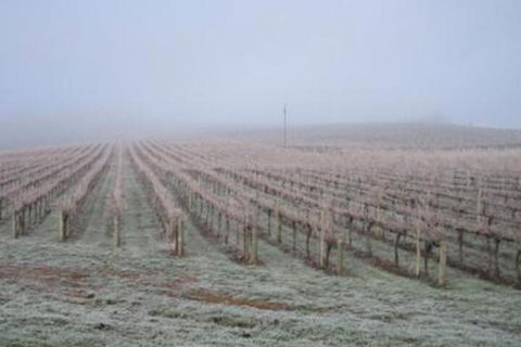 Vineyard Cottage BnB - Tourism Brisbane 5