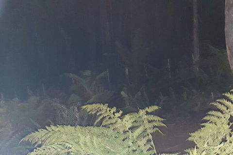 Cradle Alpine Retreat - Tourism Brisbane 3