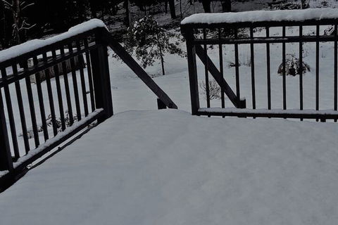 Cradle Alpine Retreat - Tourism Brisbane 1