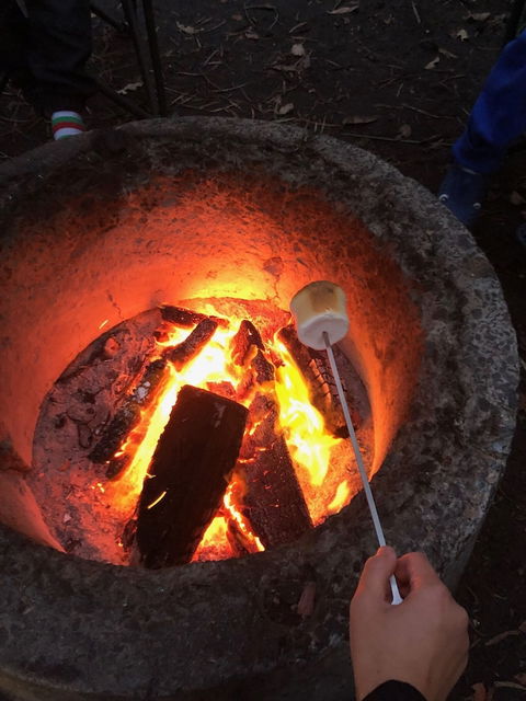 WA Wilderness - Tourism Brisbane 1