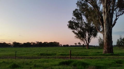 Sunset Villas Cobram - Brisbane Tourism 7