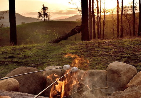Ketchup's Bank Glamping - Tourism Brisbane 4