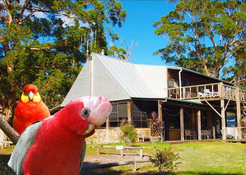 Wolfes Landing Eco Retreat - Tourism Brisbane 2