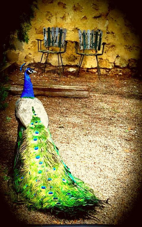 A La Folly - Tourism Brisbane 4