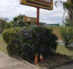 Golden West Motor Inn - Brisbane Tourism