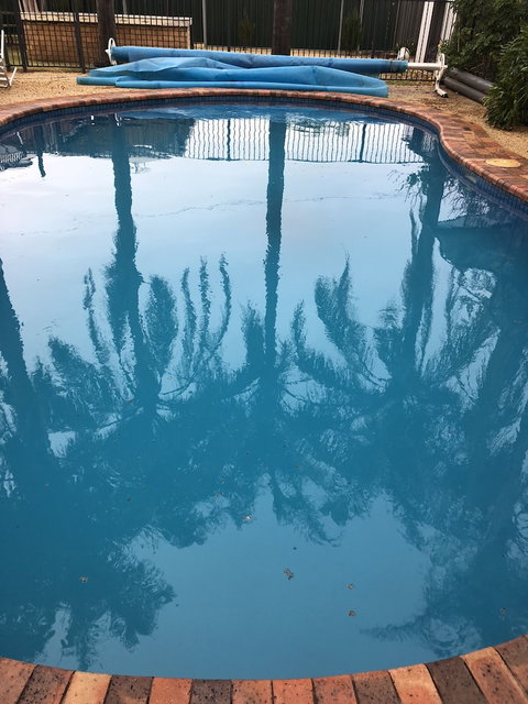 Tamworth Central Motel - Tourism Brisbane 1