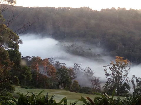 The Avenue At Montville Cottage - Tourism Brisbane 2