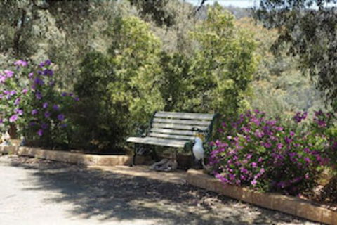 Wild Cherry Bed & Breakfast - Tourism Brisbane 3